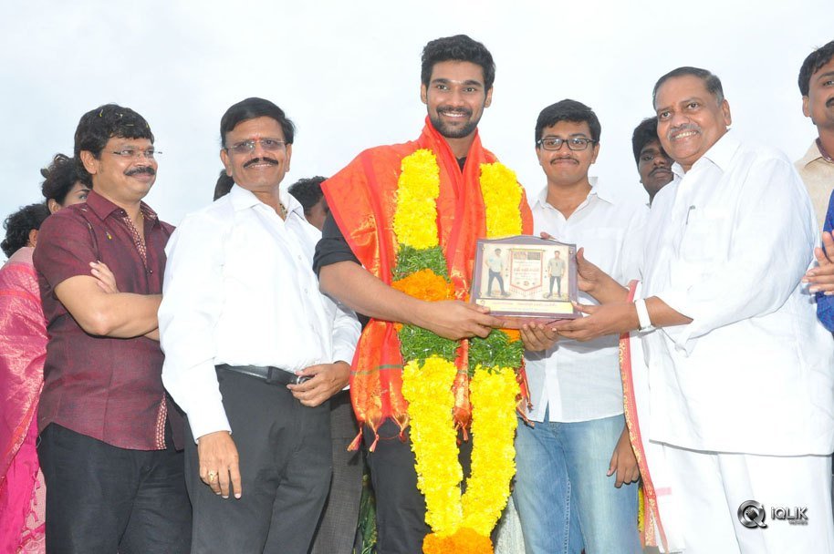 Jaya-Janaki-Nayaka-Movie-Vijayotsava-Veduka-At-Hamsala-Deevi